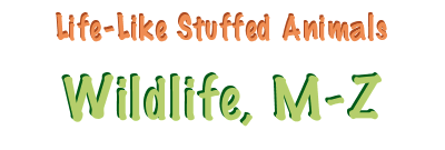 Wildlife, M to Z