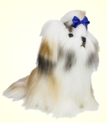 Bocchetta Muffin Shih Tzu
