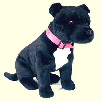 Bocchetta DJ Black and White Sitting Staffordshire Terrier